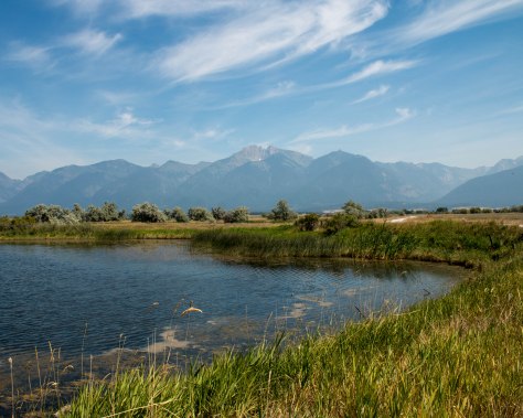 Ninepipe Wildlife Refuge