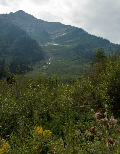 Going-to-the-Sun road