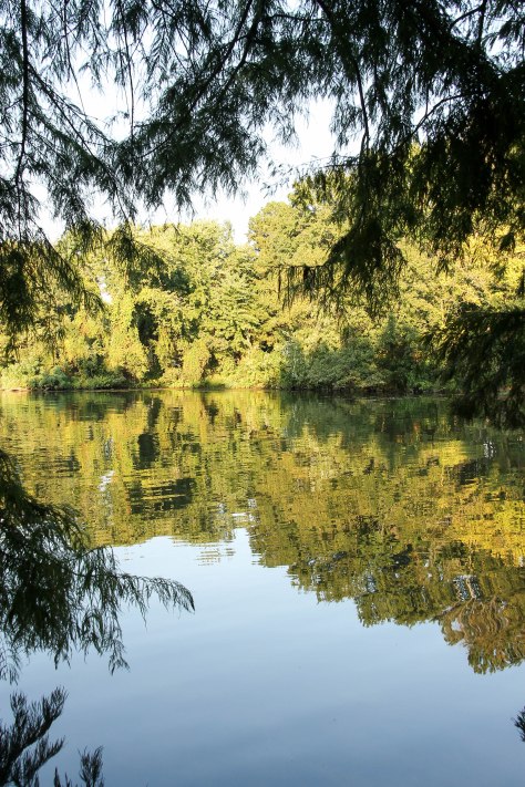 Reflections on Lake Dardanelle