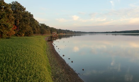 Lake Chicot, an oxbow remnant , a cutoff of the mighty Mississippi River
