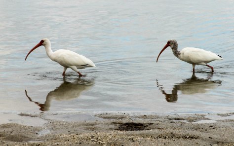 "Come with us and we will show you our home."