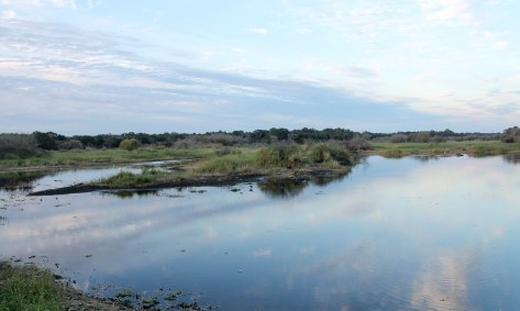 Sunset November 13, 2014 in Myakka River State Park