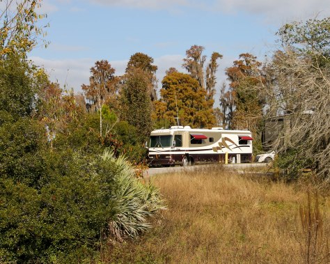 Site 19, Lake Louisa State Park