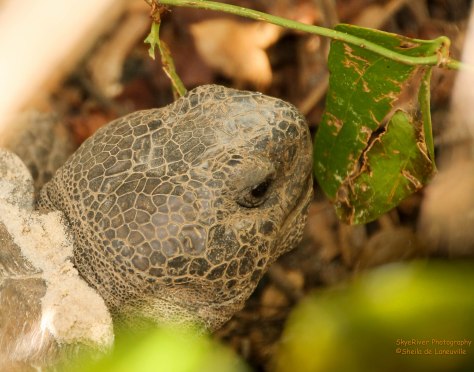 "I think this one will do!"