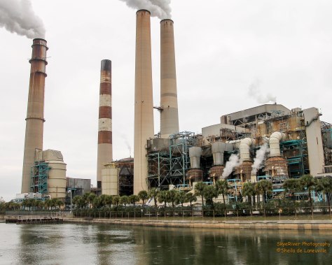 Big Bend Power Station, Tampa Bay
