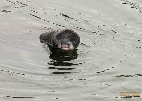 "Why don't you come on over for a visit?"