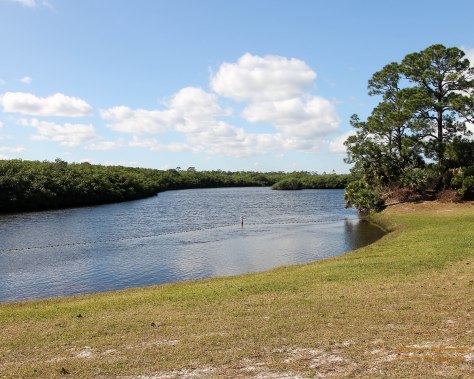 Swim, Canoe, Kayak, Fish, Boat, in the Loxahatchee River