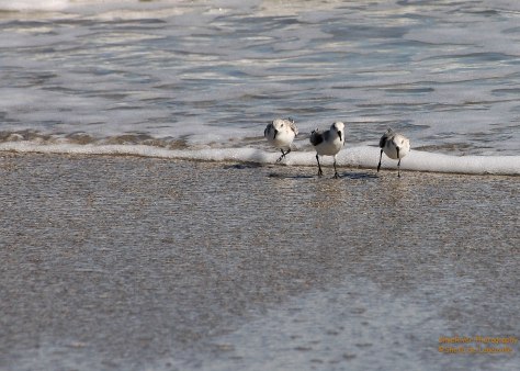 Waves roll in, time to run.