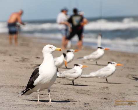 Fishing, a common bond
