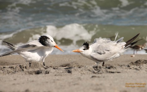 "You ate that already?"