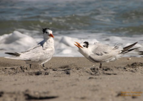 "Now you want more?"