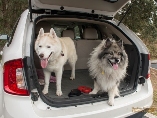 The Explorer and The Lagger