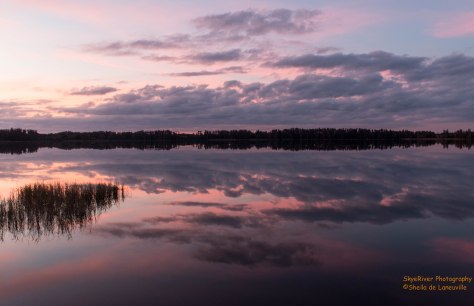 Sunset on Lake Dixie at Lake Louisa State Park
