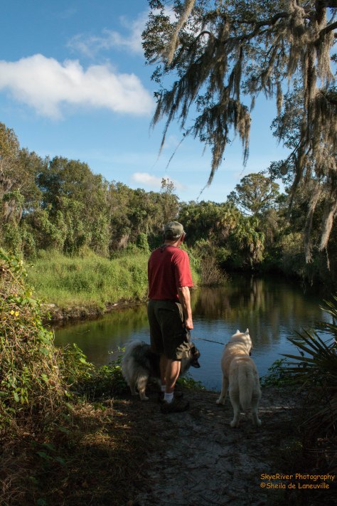 Howard, Skye and Kloud enjoying the view.