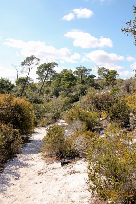 Hobe Sound Wildlife Refuge located right on the Intracoastal Canal
