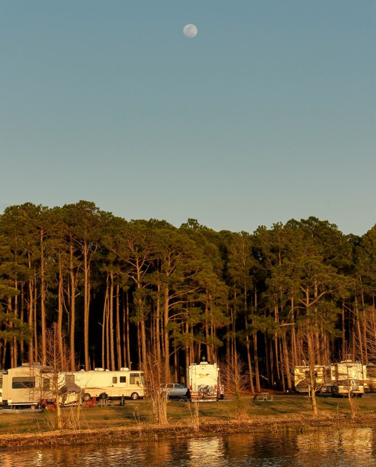 Camped along Mobile Bay