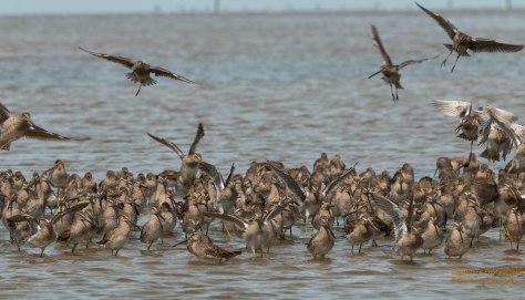 "Get your foot off of mt face."