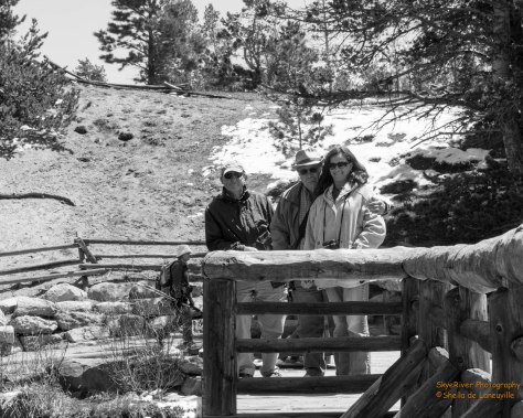 Howard, Paul and Rhonda