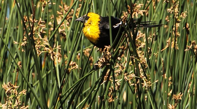 ~This time last year