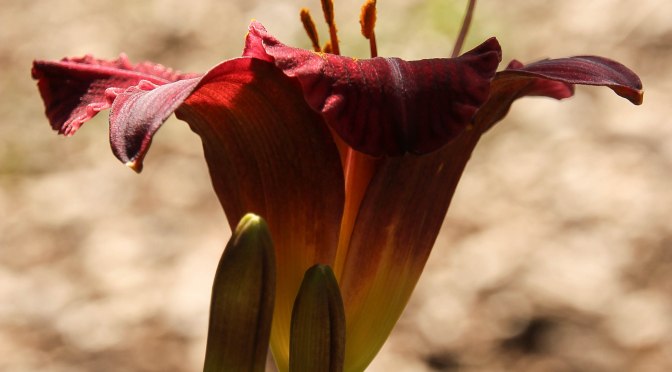 ~Yesterday, Today and Tomorrow