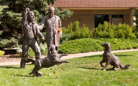 Playing Fetch in Bronze