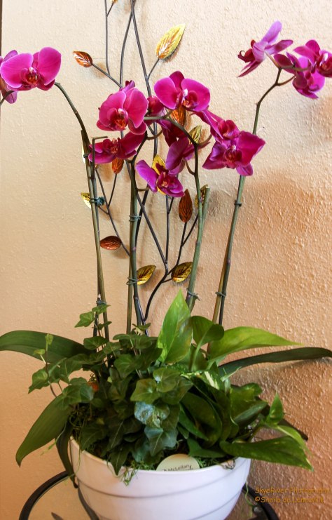 From Howard with Love! This arrangement is gorgeous and I was thrilled to receive it.