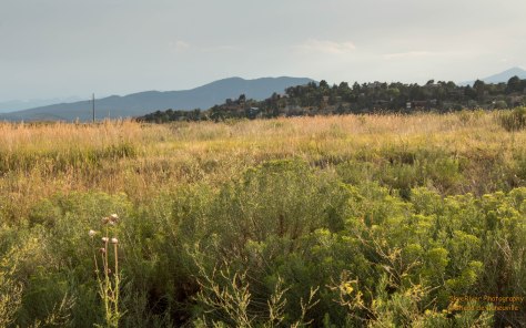 View from Mehaffey looking west. We live on that hill.