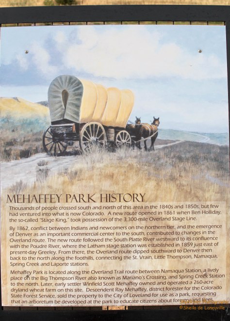 Mehaffey Park History