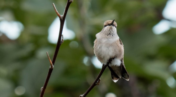 ~A few minutes spent doing what I love most!