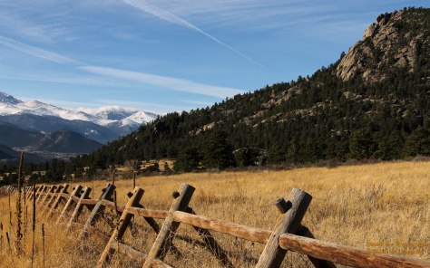 The green grasses of summer have turned golden.