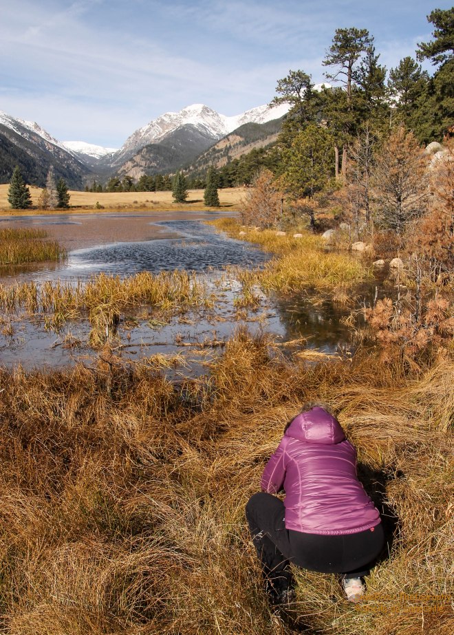 A Photographer trying to capture this serene scene.