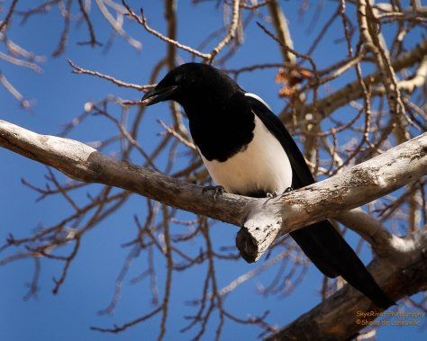 Trying to talk me into a morsel.