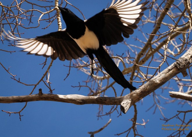 "No food, no more photos for you."