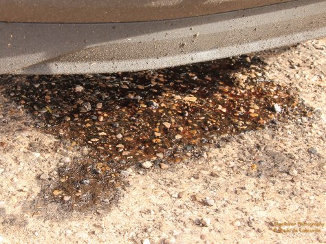 Power Steering fluid