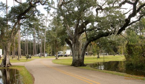 The Tchefuncte River is high, flowing into the state park.