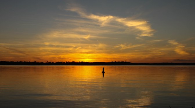 ~Happy Thanksgiving, 2015