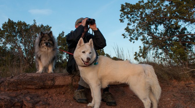 ~”When that sun is high in that Texas Sky” – It is time to leave Amarillo