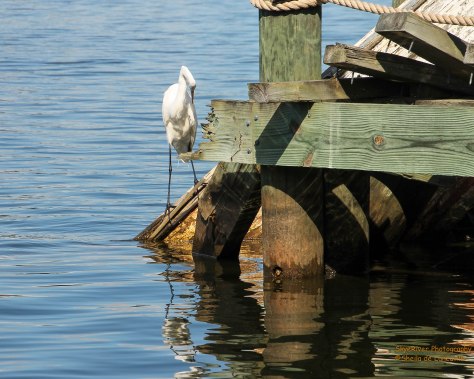 "What do you think he is looking at?"