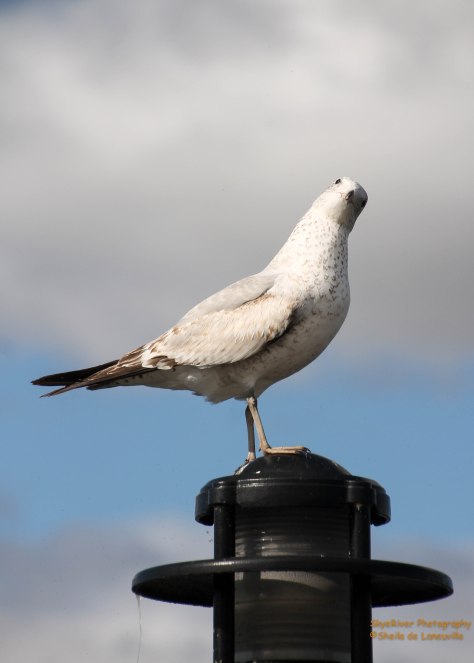 ~~Okay, name this caption~~