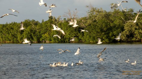 "Friends enjoy Life"