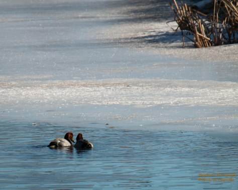 "I think we need to head south."