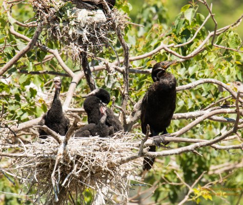 A proud Mom taking a break.
