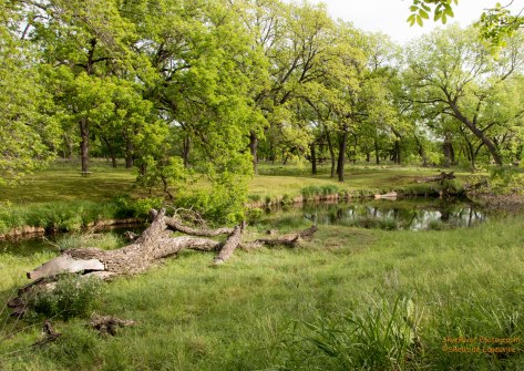 South Llano River State Park