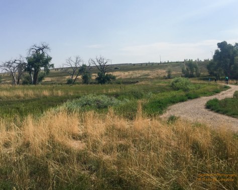 Meadowbrook Natural Area