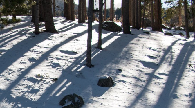 ~Tuesday Photo Challenge: Fantasy